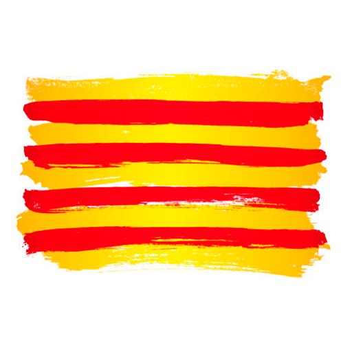 LA MEVA LLENGUA